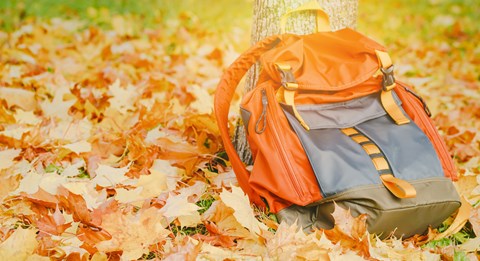 Höstlöv på marken och en orange ryggsäck lutad mot ett träd.